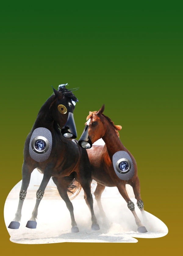 Creation of The Escape of War Horses: Step 12